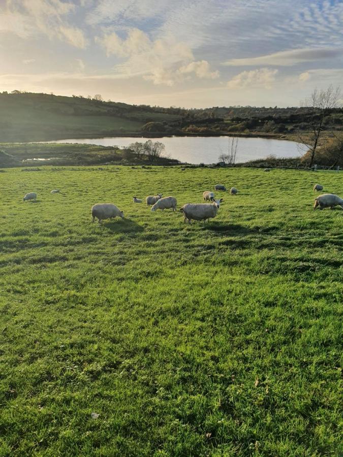 Claragh Cottage Cavan Eksteriør billede