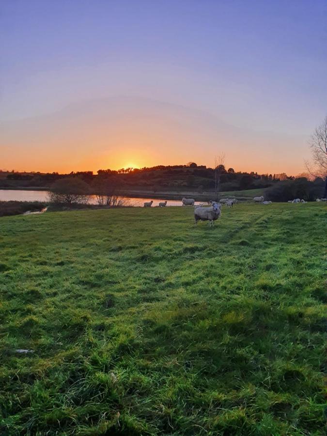 Claragh Cottage Cavan Eksteriør billede