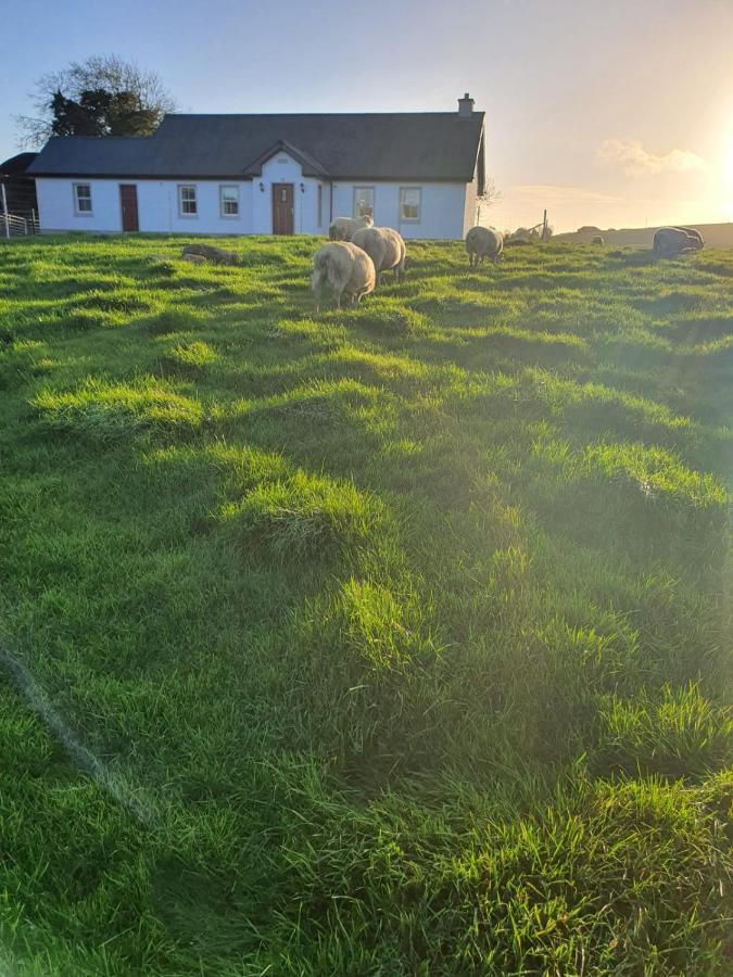 Claragh Cottage Cavan Eksteriør billede